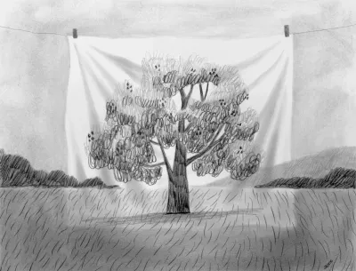 Tree On Display