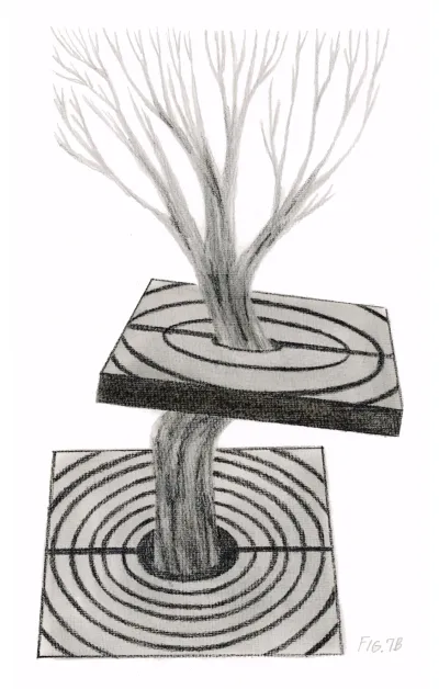 Fig. 7b